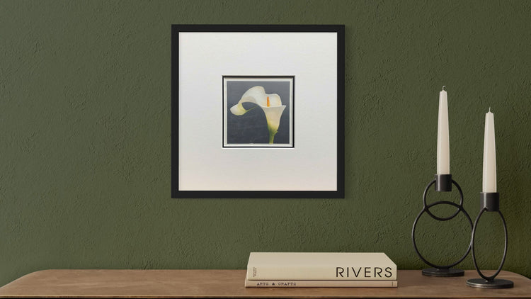 Beautiful Botanicals - original handmade prints