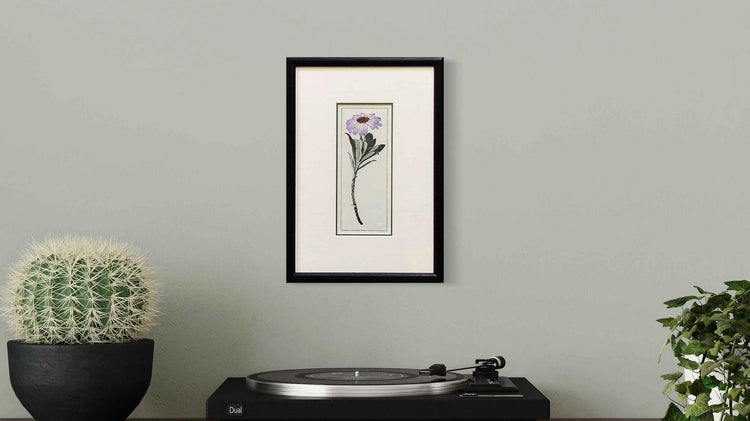 Gentle Designs - original handmade prints