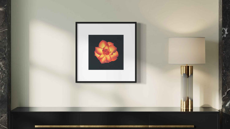 Joyful Designs - fine art prints on paper