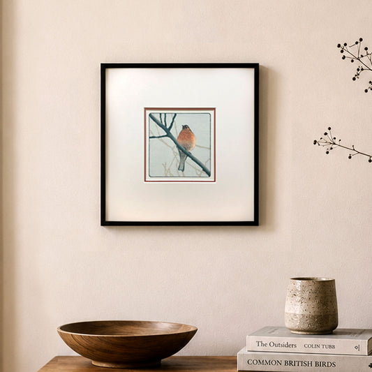 Chaffinch - Studio Mounted Fine Art Print