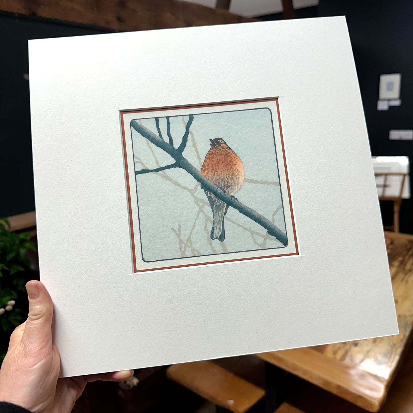 Chaffinch - Studio Mounted Fine Art Print