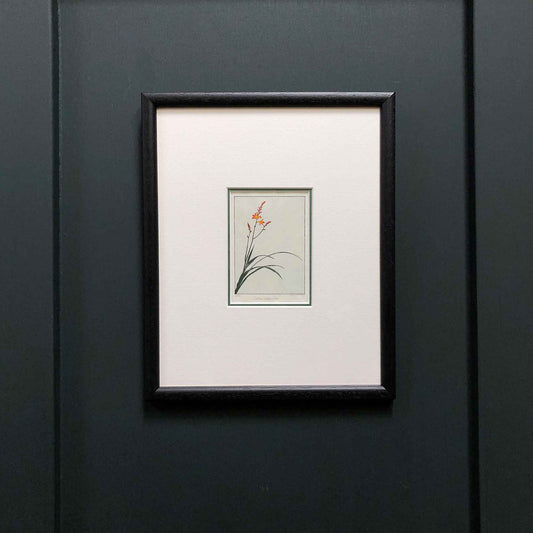 Crocosmia woodblock - original handmade print