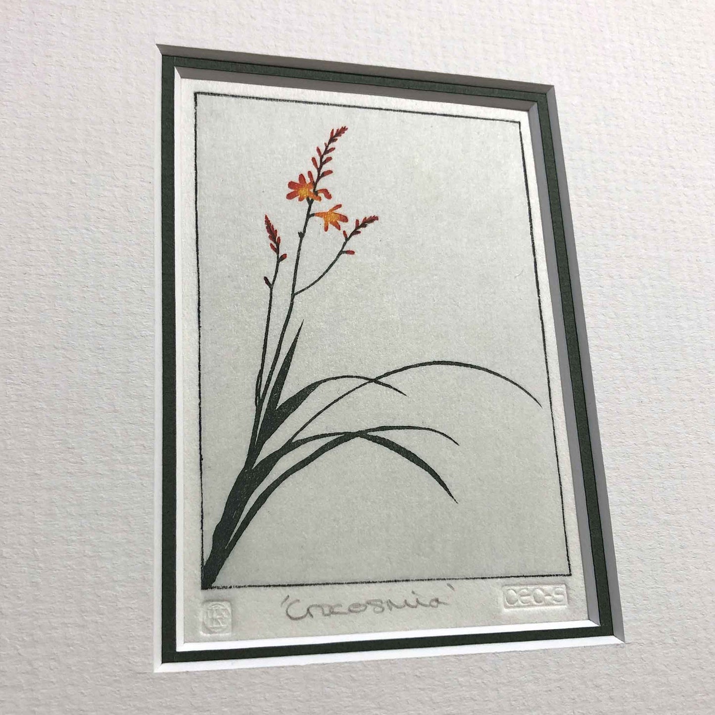 Crocosmia woodblock - original handmade print