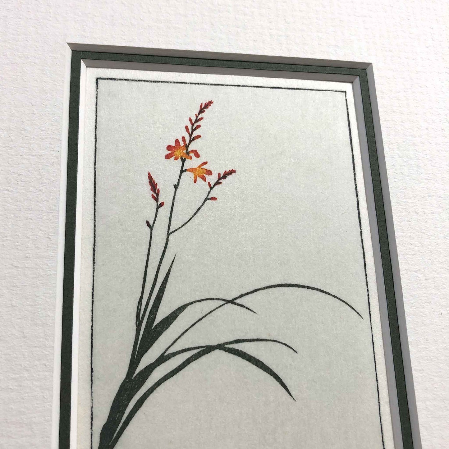 Crocosmia woodblock - original handmade print