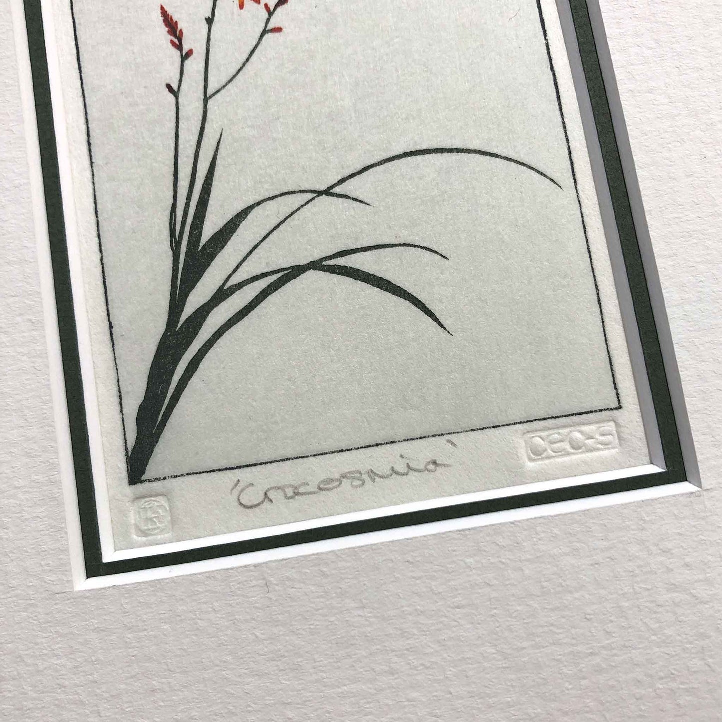 Crocosmia woodblock - original handmade print