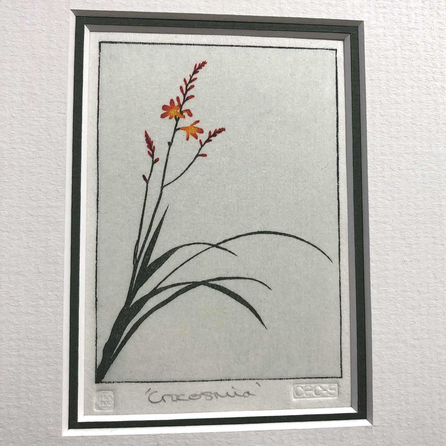 Crocosmia woodblock - original handmade print