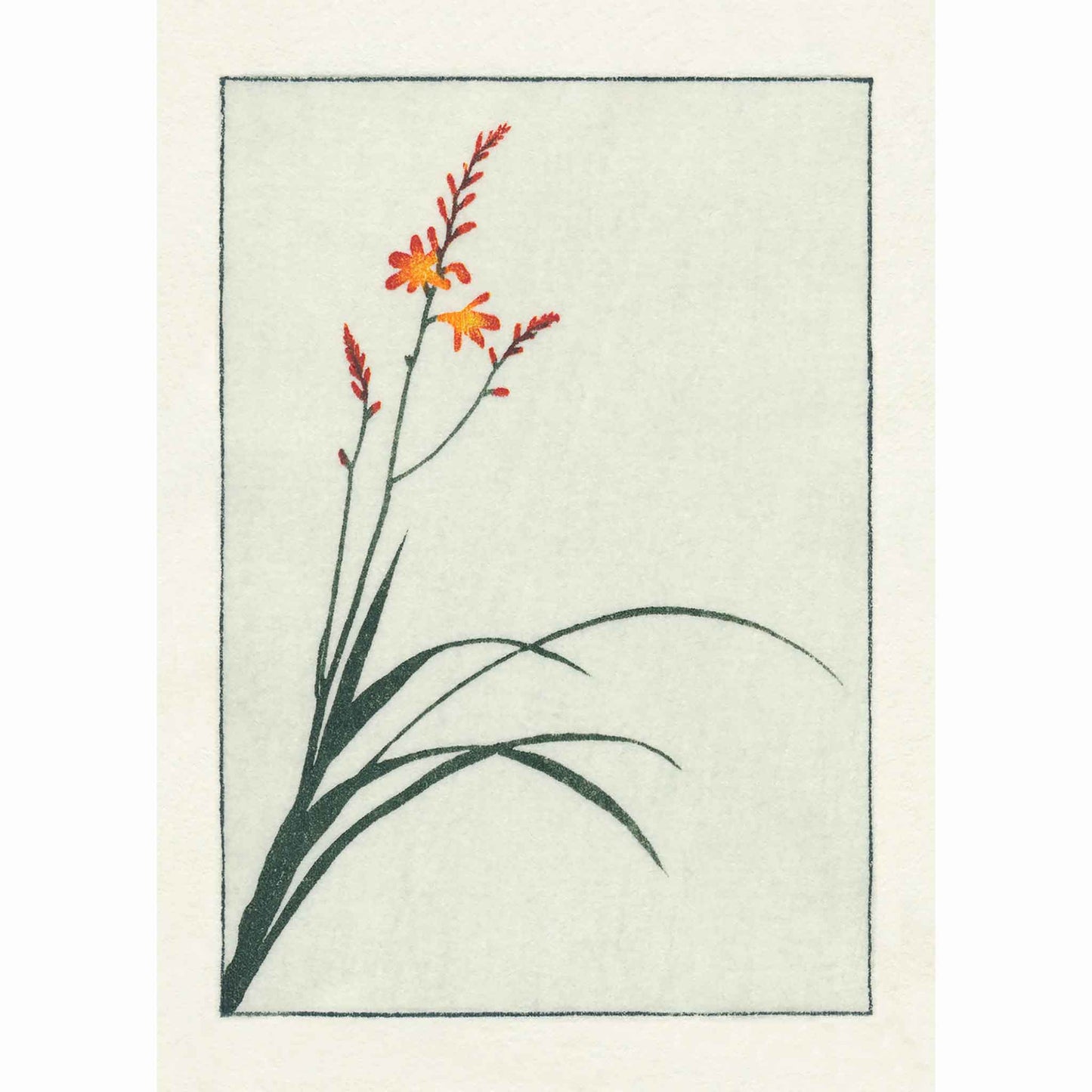 Crocosmia woodblock - original handmade print