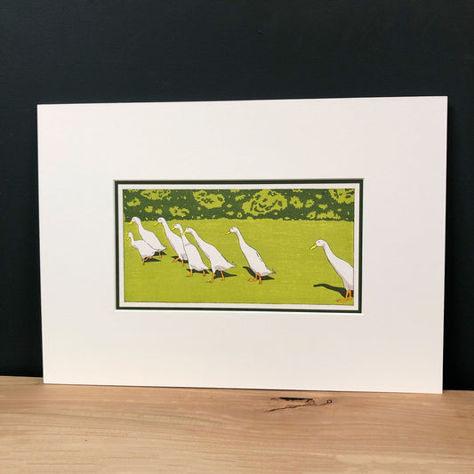 Ducks in a Row – "Indian Runner Ducks" Fine Art Mounted Print