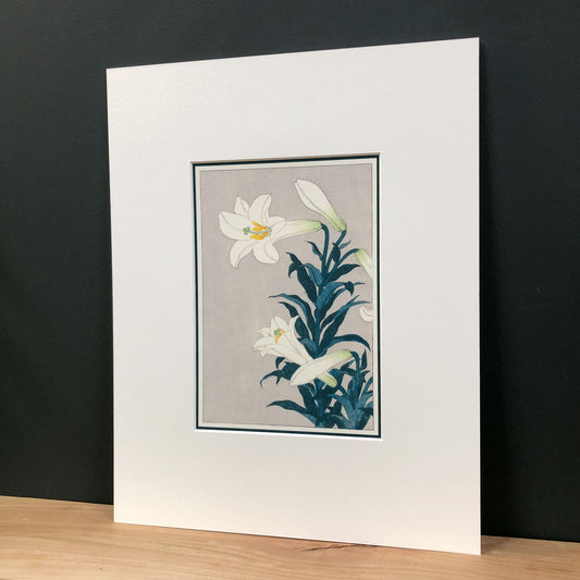 Easter Lily Elegance – "White Lily, after Koson" Fine Art Mounted Print