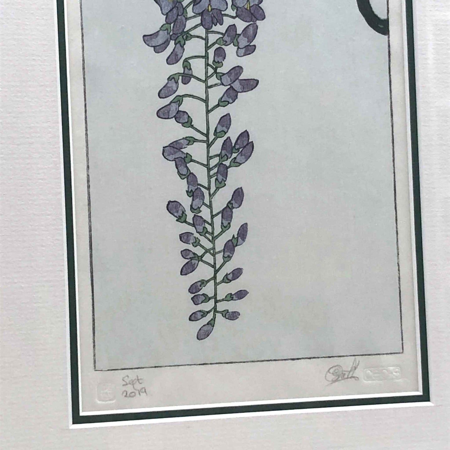 Flowering Wisteria, after Koson, Japanese woodblock - original handmade print