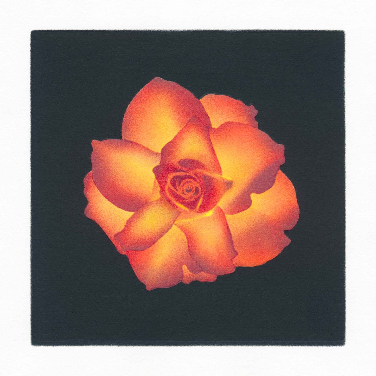 High and Magic - limited edition rose pochoir (stencilled) original handmade print