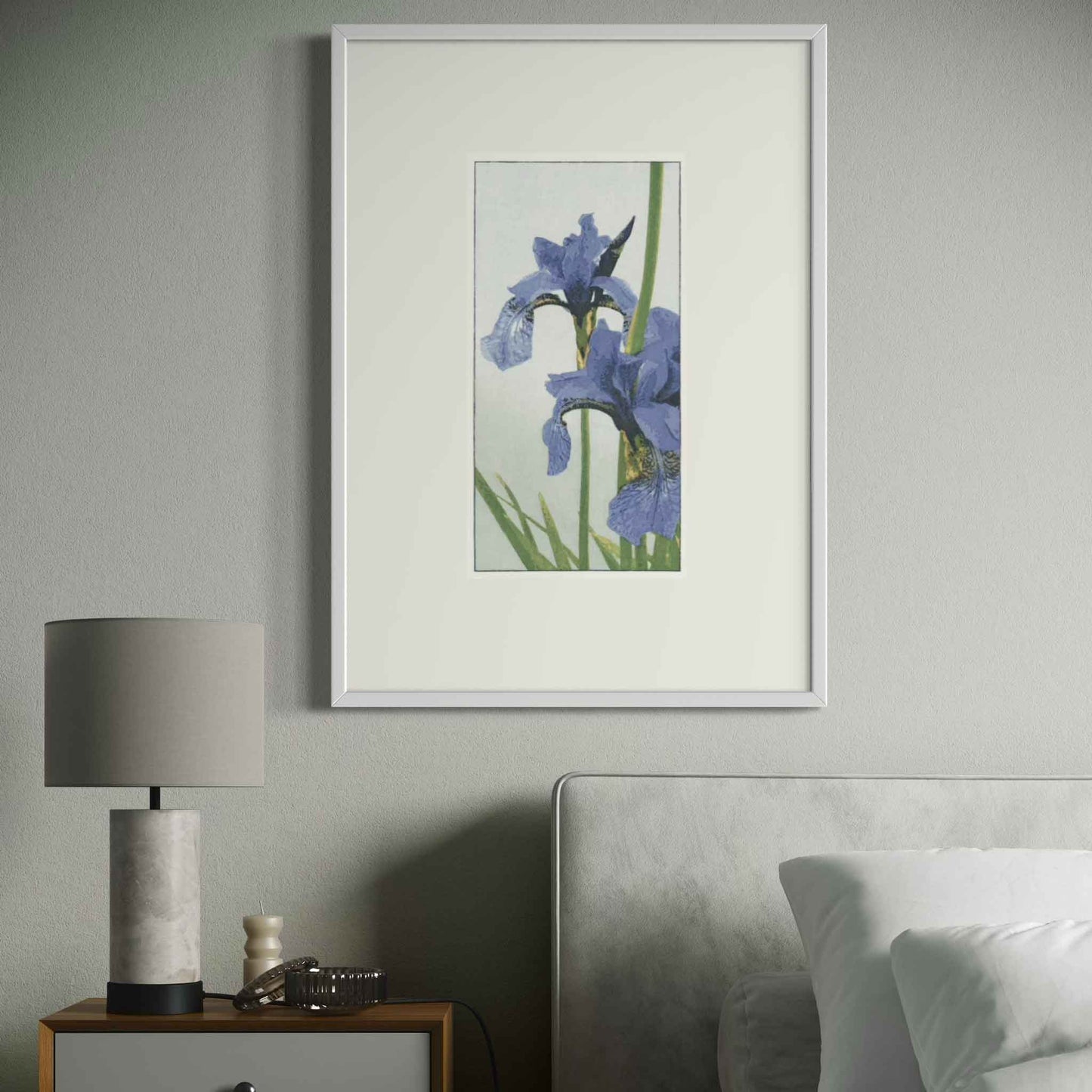 Irises - Fine Art Print