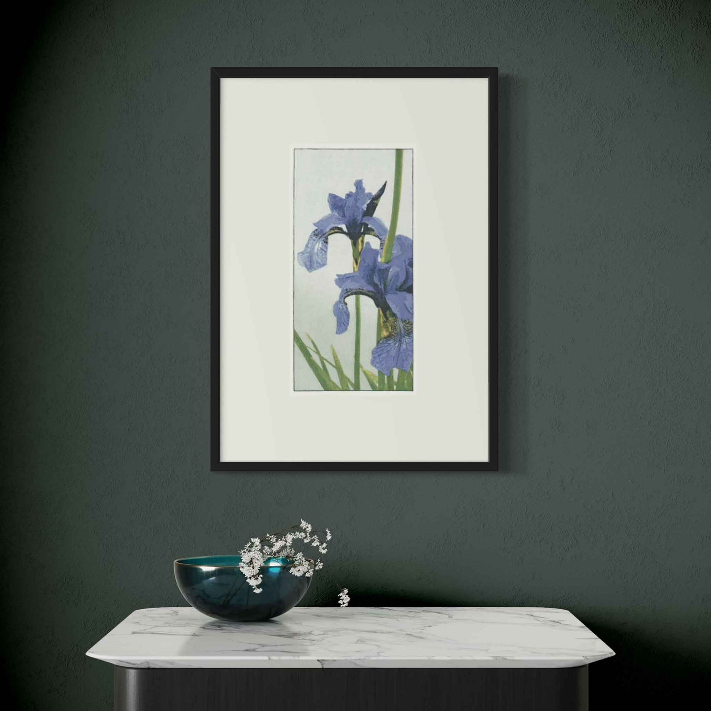 Irises - Fine Art Print