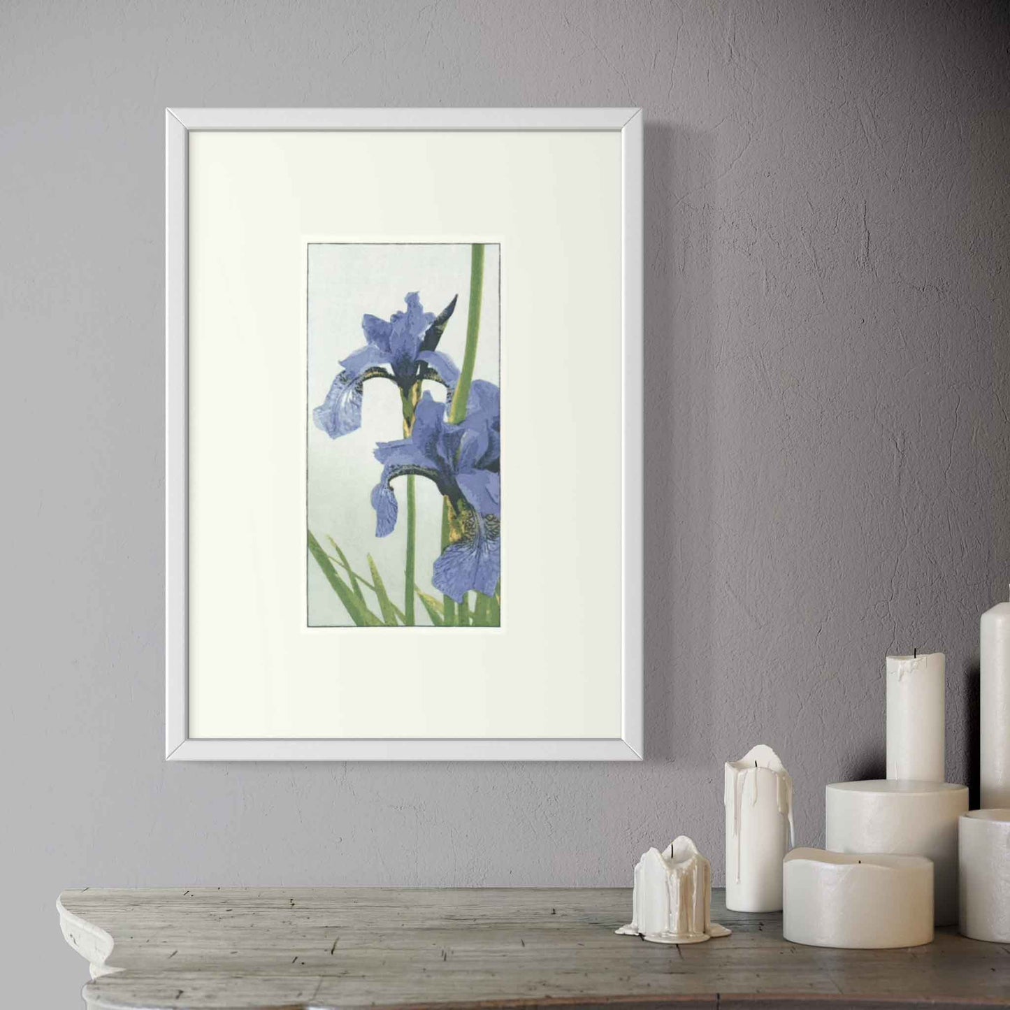 Irises - Fine Art Print