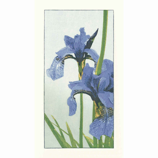 Fine art print of elegant irises flower by Claire Cameron-Smith, printed on bamboo paper