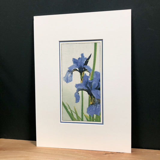 Blue Beauty – "Irises" Fine Art Mounted Print