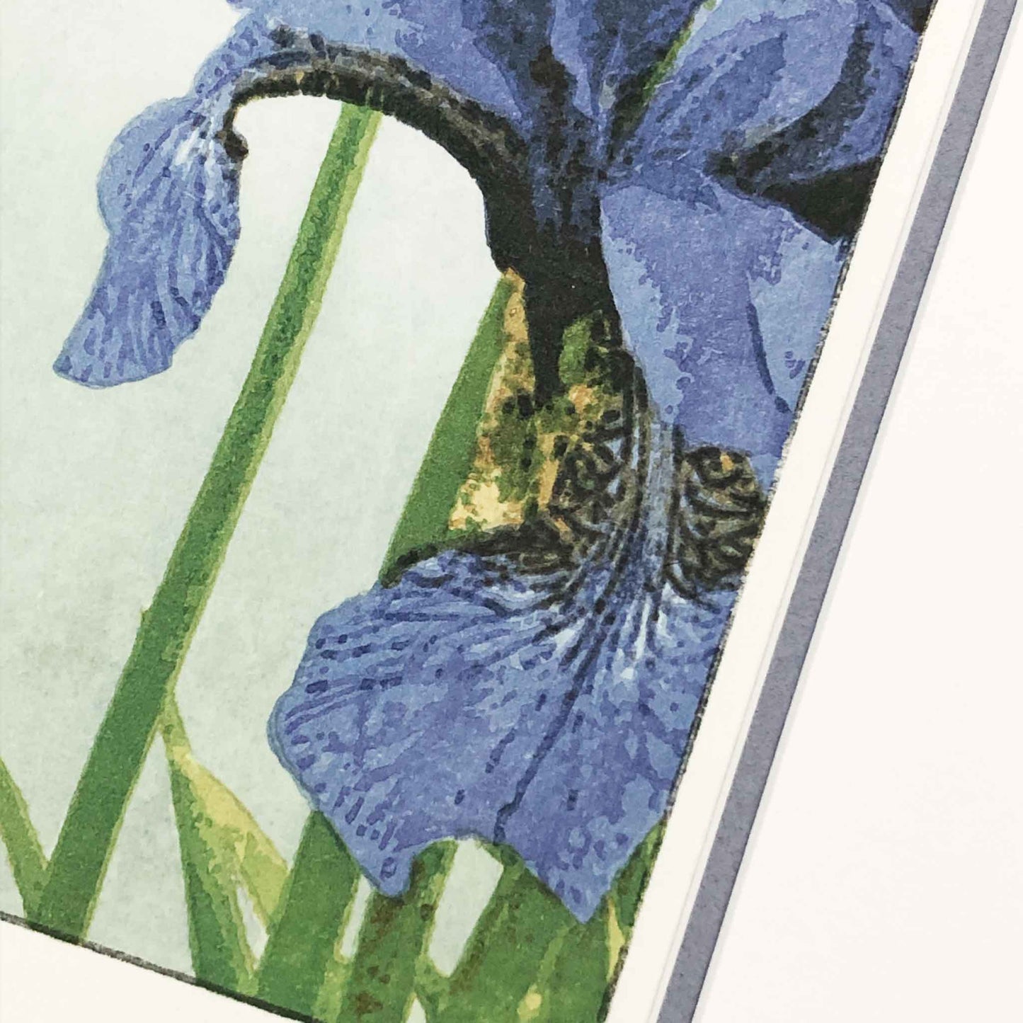 Irises limited edition Japanese woodblock - original handmade print