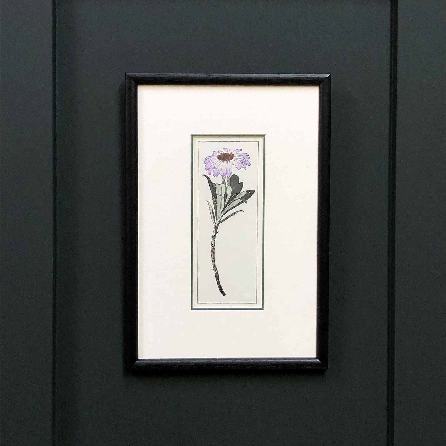Olearia Semidentata (New Zealand Tree Daisy) woodblock - original handmade print