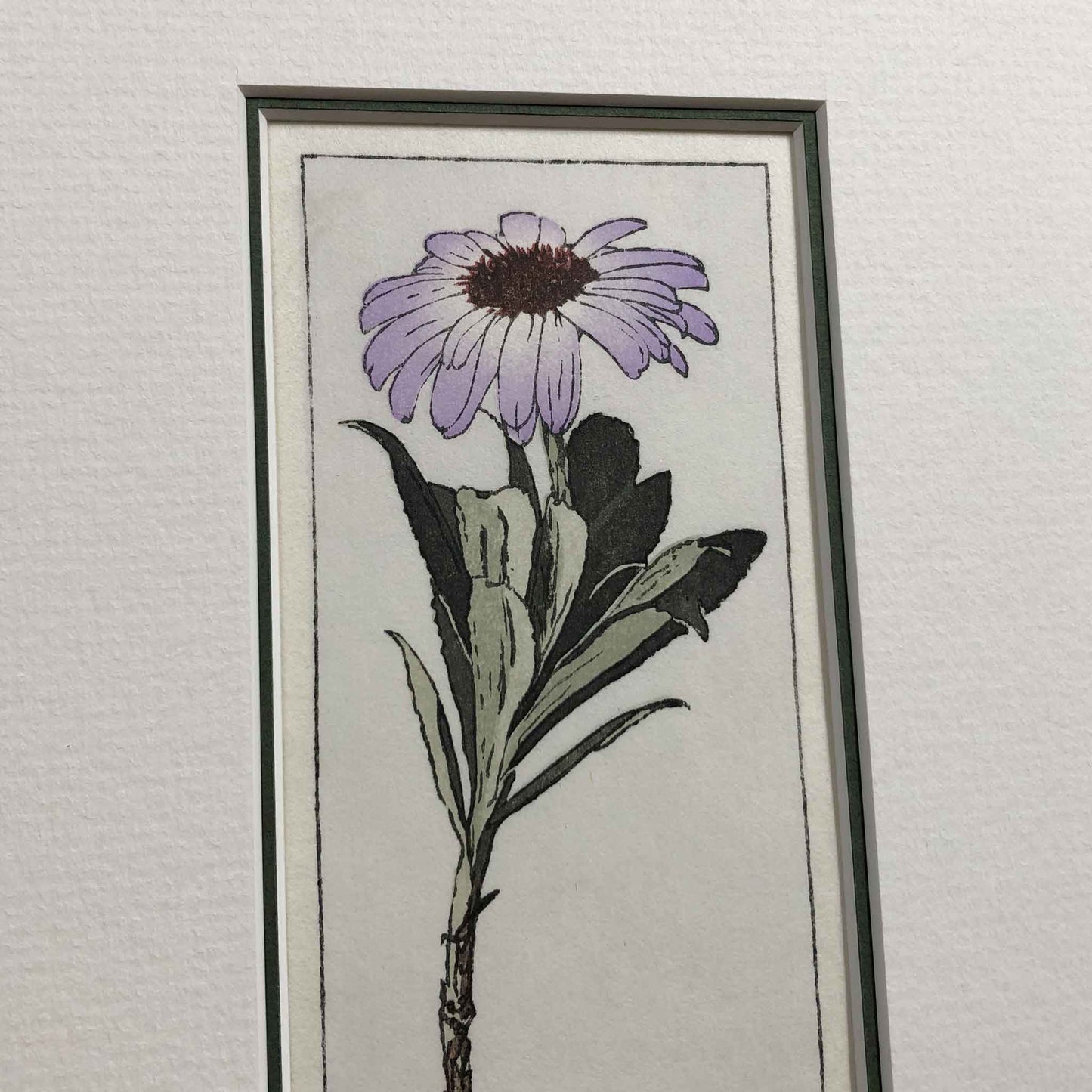 Olearia Semidentata (New Zealand Tree Daisy) woodblock - original handmade print