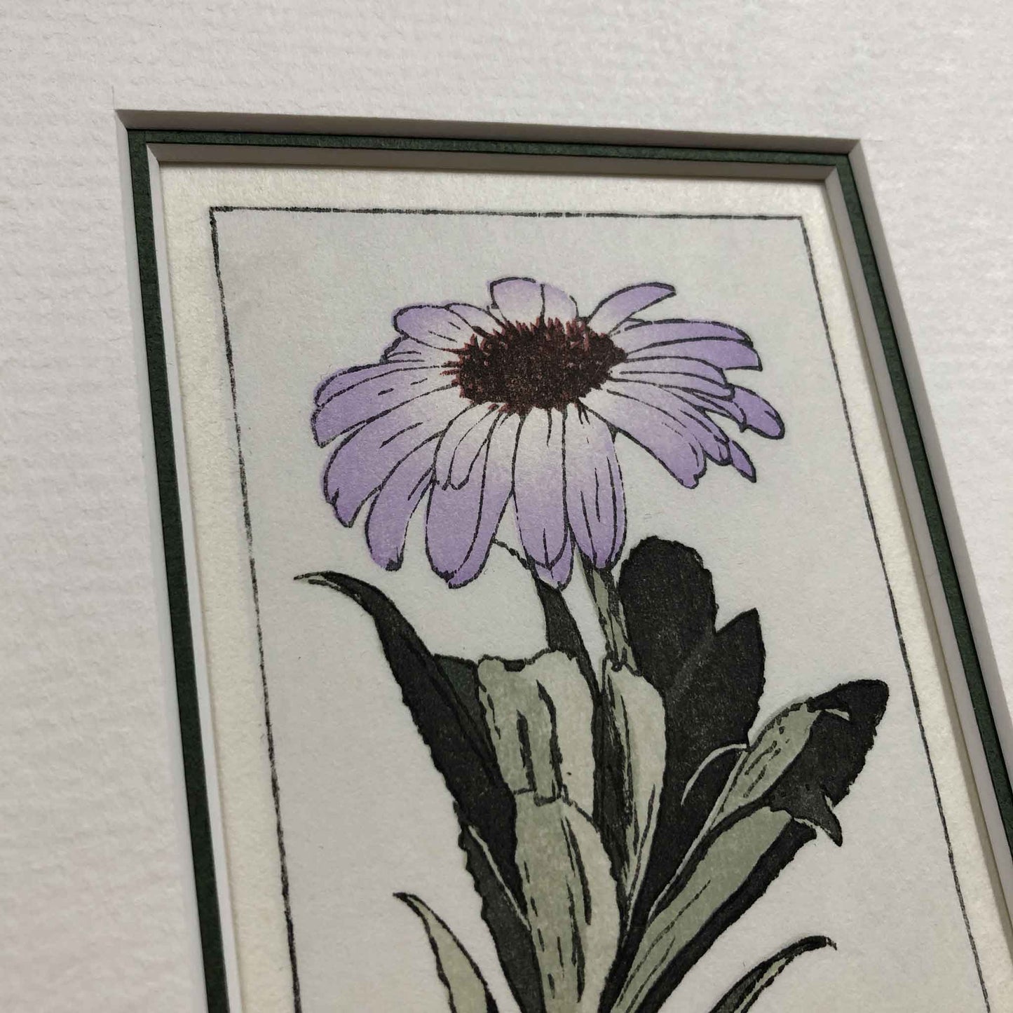 Olearia Semidentata (New Zealand Tree Daisy) woodblock - original handmade print