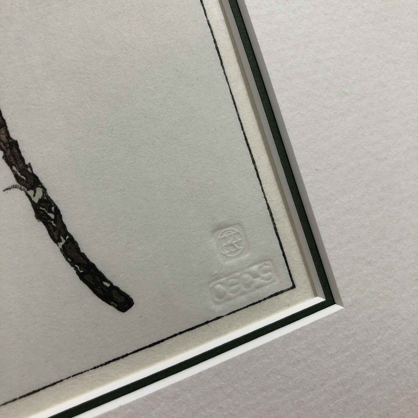 Olearia Semidentata (New Zealand Tree Daisy) woodblock - original handmade print