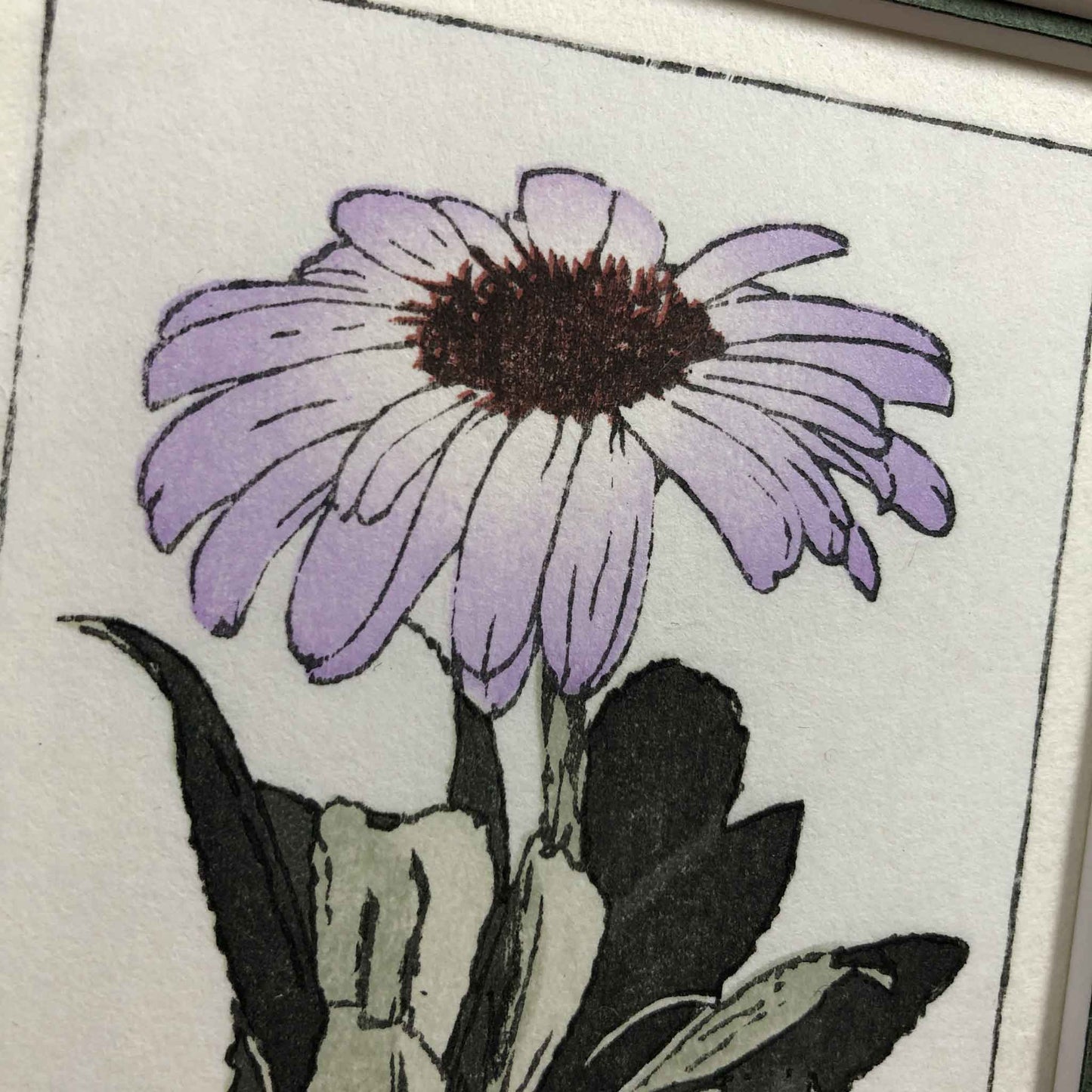 Olearia Semidentata (New Zealand Tree Daisy) woodblock - original handmade print