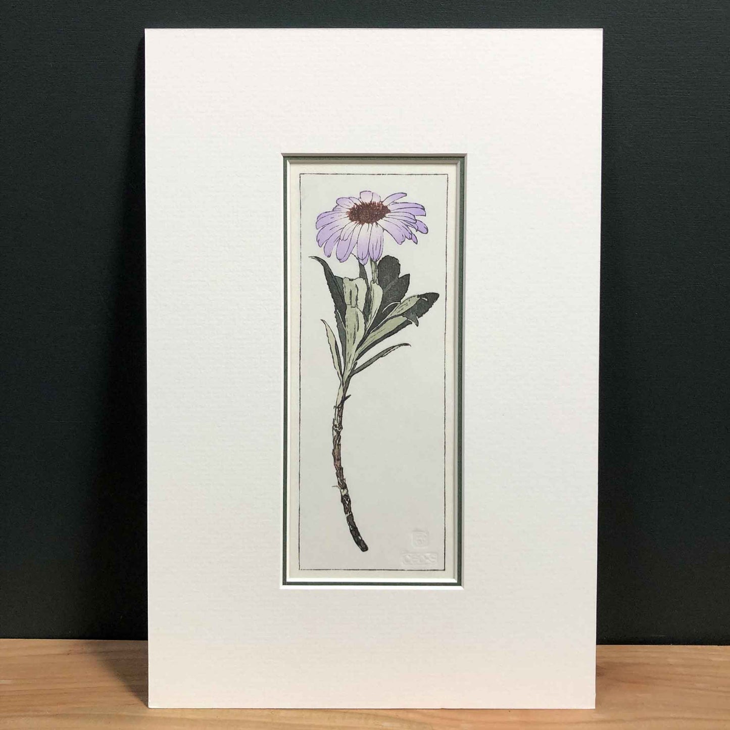 Olearia Semidentata (New Zealand Tree Daisy) woodblock - original handmade print