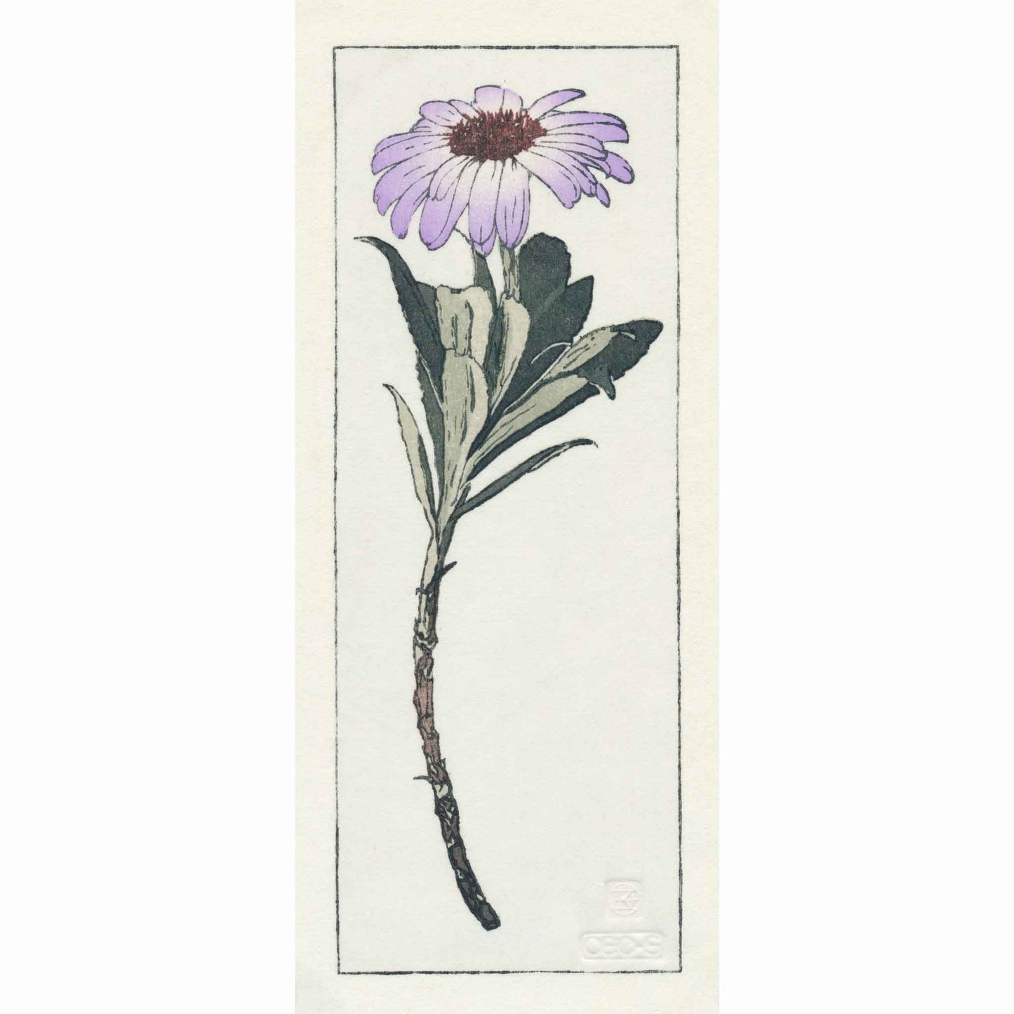 Olearia Semidentata (New Zealand Tree Daisy) woodblock - original handmade print