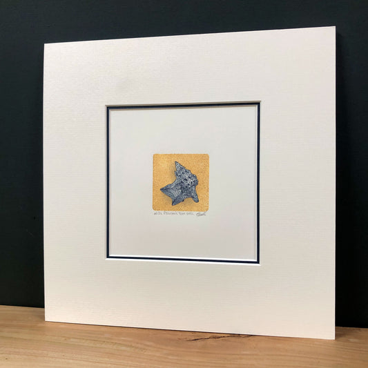 Pelican's Foot Shell - original handmade woodblock print