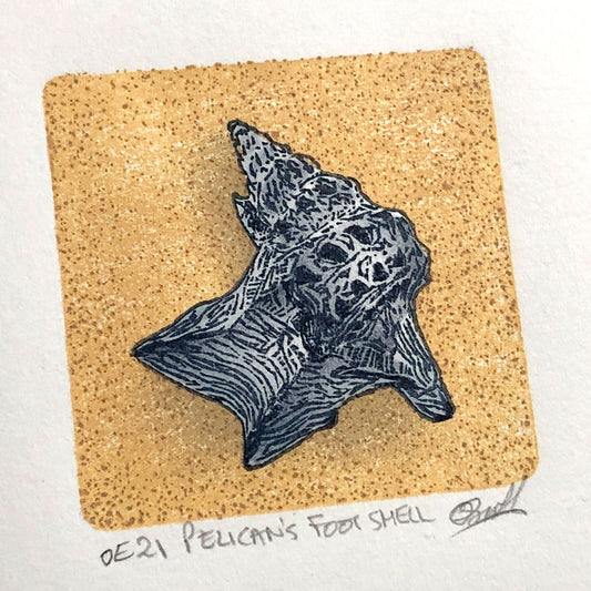 Pelican's Foot Shell - original handmade woodblock print