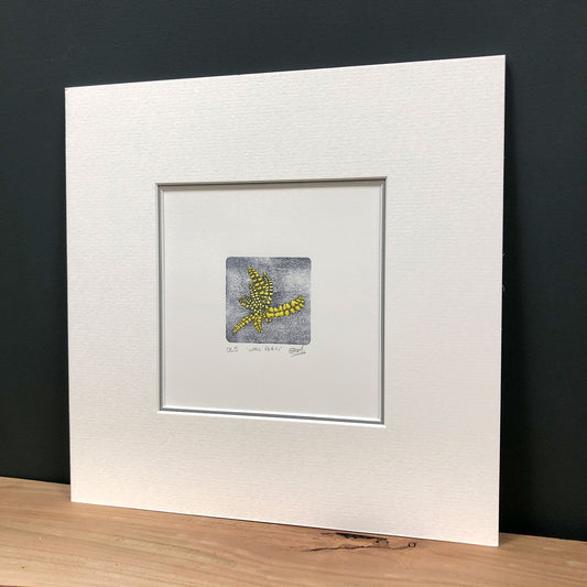 Wall Fern - original handmade woodblock print