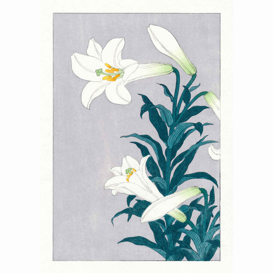 Fine art print of a white lily after Koson by Claire Cameron-Smith, printed on bamboo paper