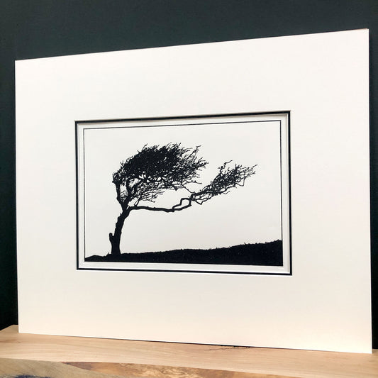 Angled view of mounted windswept hawthorn tree woodblock print showing depth of mount and minimalist black silhouette landscape.
