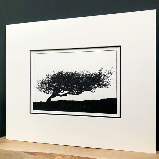 Angled view of mounted windswept hawthorn tree woodblock print showing depth of mount and minimalist black silhouette landscape.