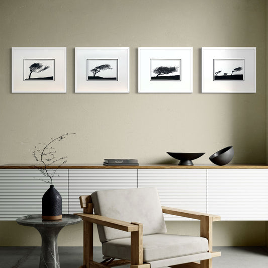 Windswept hawthorn woodblock print series shown together in white frames on a light wall in a contemporary interior setting.