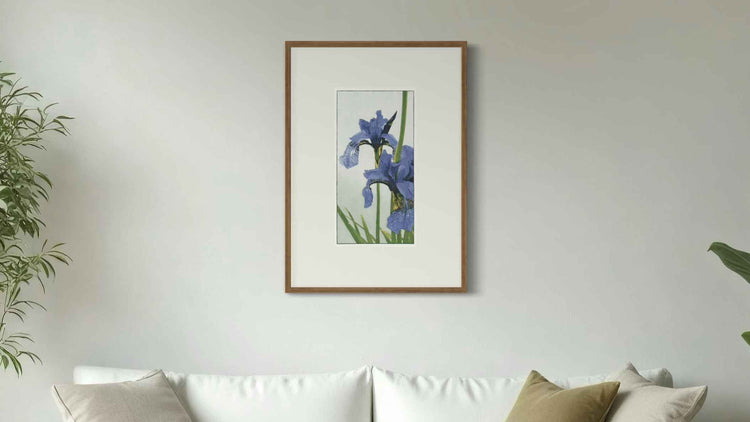 Beautiful Botanicals - fine art prints on paper
