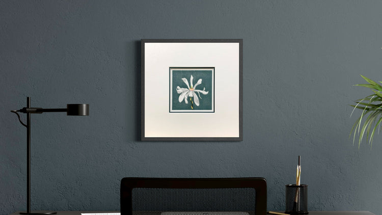 Fine Art Prints on Paper - Flowers