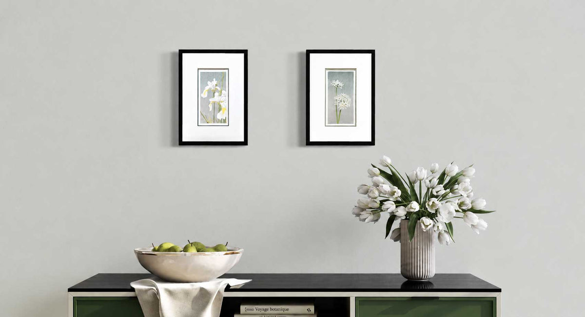 White Flowers Collection