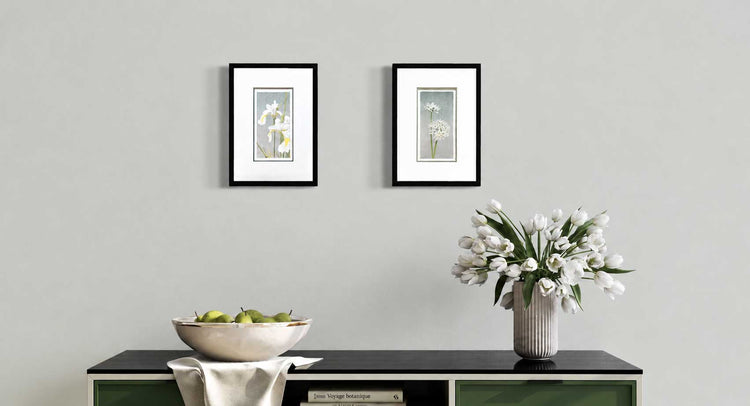 White Flowers Collection