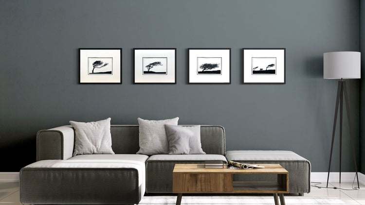 Four original handmade woodblock prints of windswept hawthorn trees displayed in a row on a dark neutral wall, forming a quietly dramatic monochrome coastal landscape.