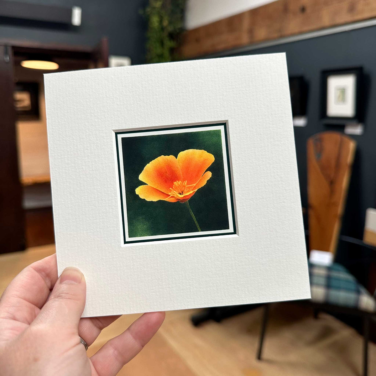 Californian Poppy Flower Mounted Fine Art Mini Print in hand