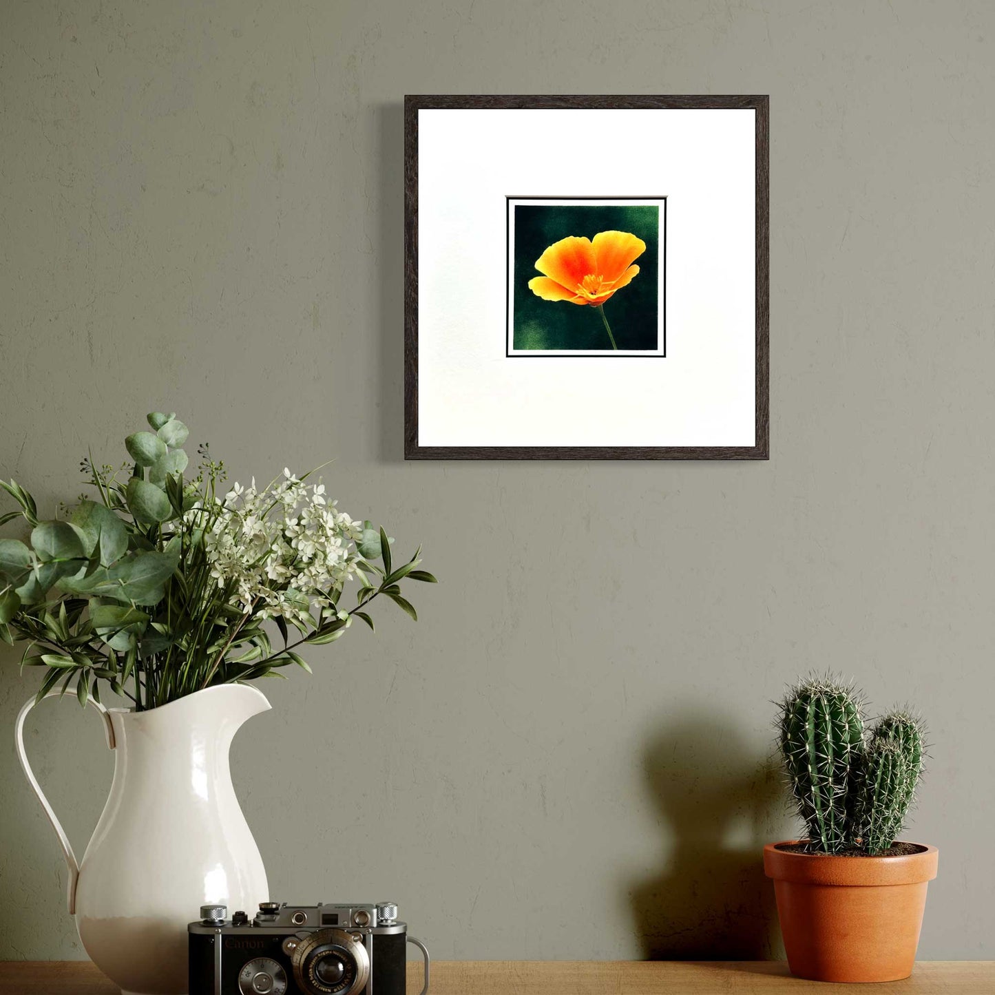 Fine art print of Californian poppy flower against dark green background. Mounted in white, 10" x 10". In room set with black frame.