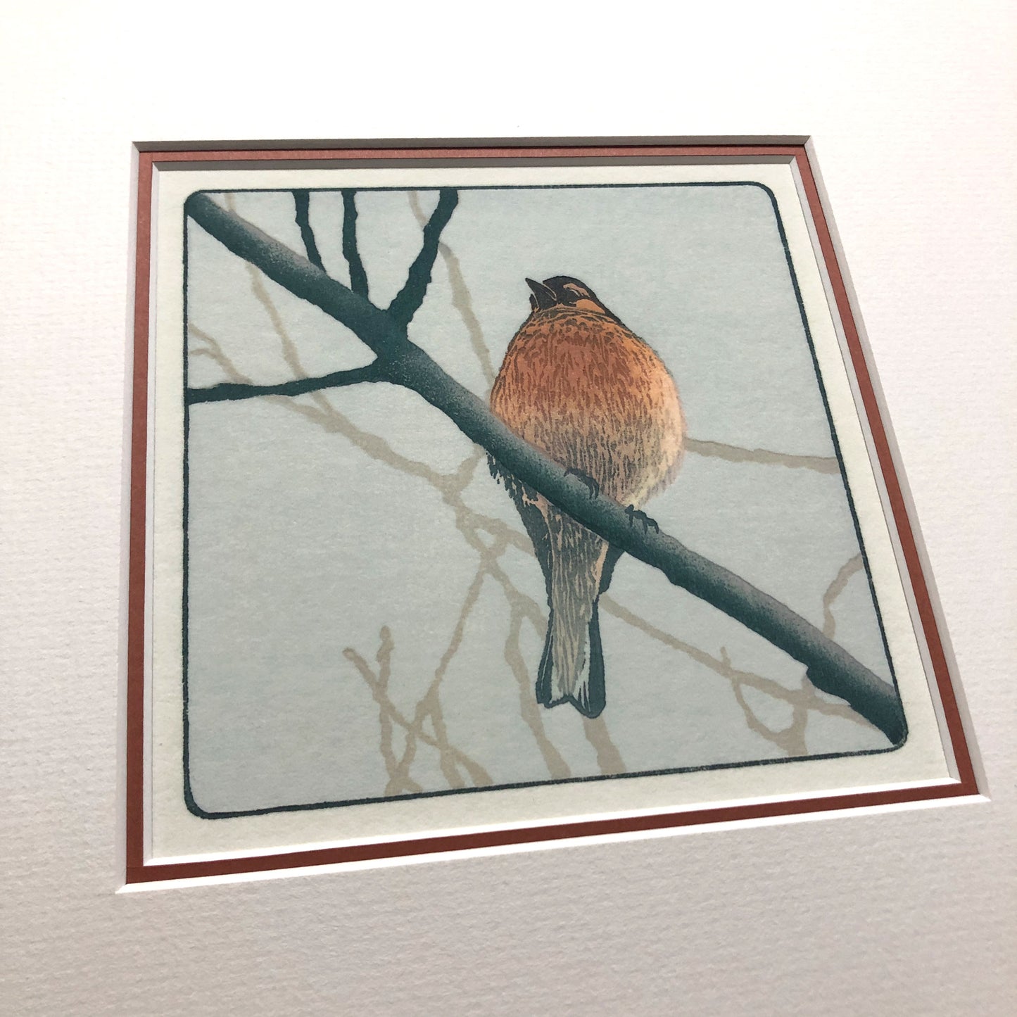 Chirpy Chappy – "Chaffinch" Fine Art Mounted Print