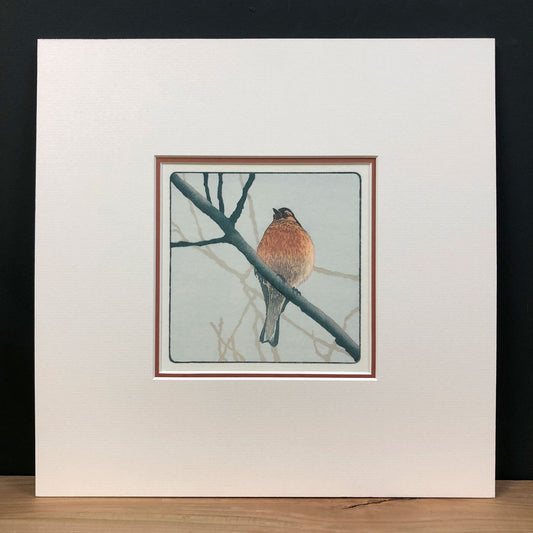 Chirpy Chappy – "Chaffinch" Fine Art Mounted Print