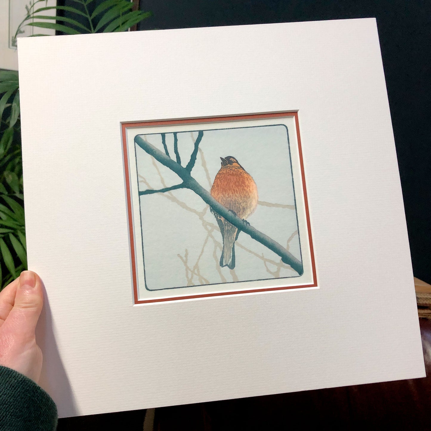 Chirpy Chappy – "Chaffinch" Fine Art Mounted Print