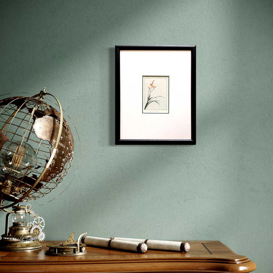 Botanical original print of crocosmia flower in black frame in room set