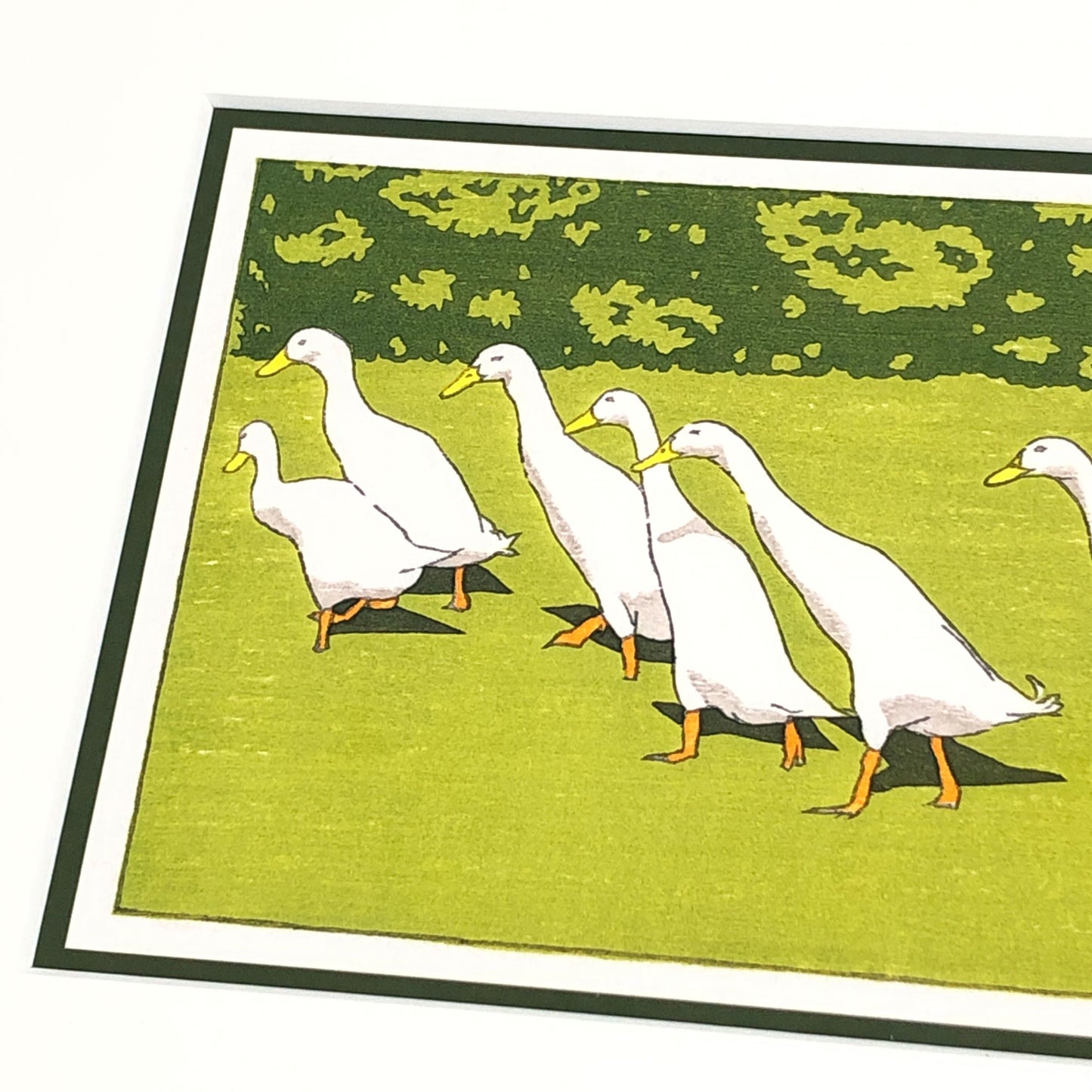 Ducks in a Row – "Indian Runner Ducks" Fine Art Mounted Print
