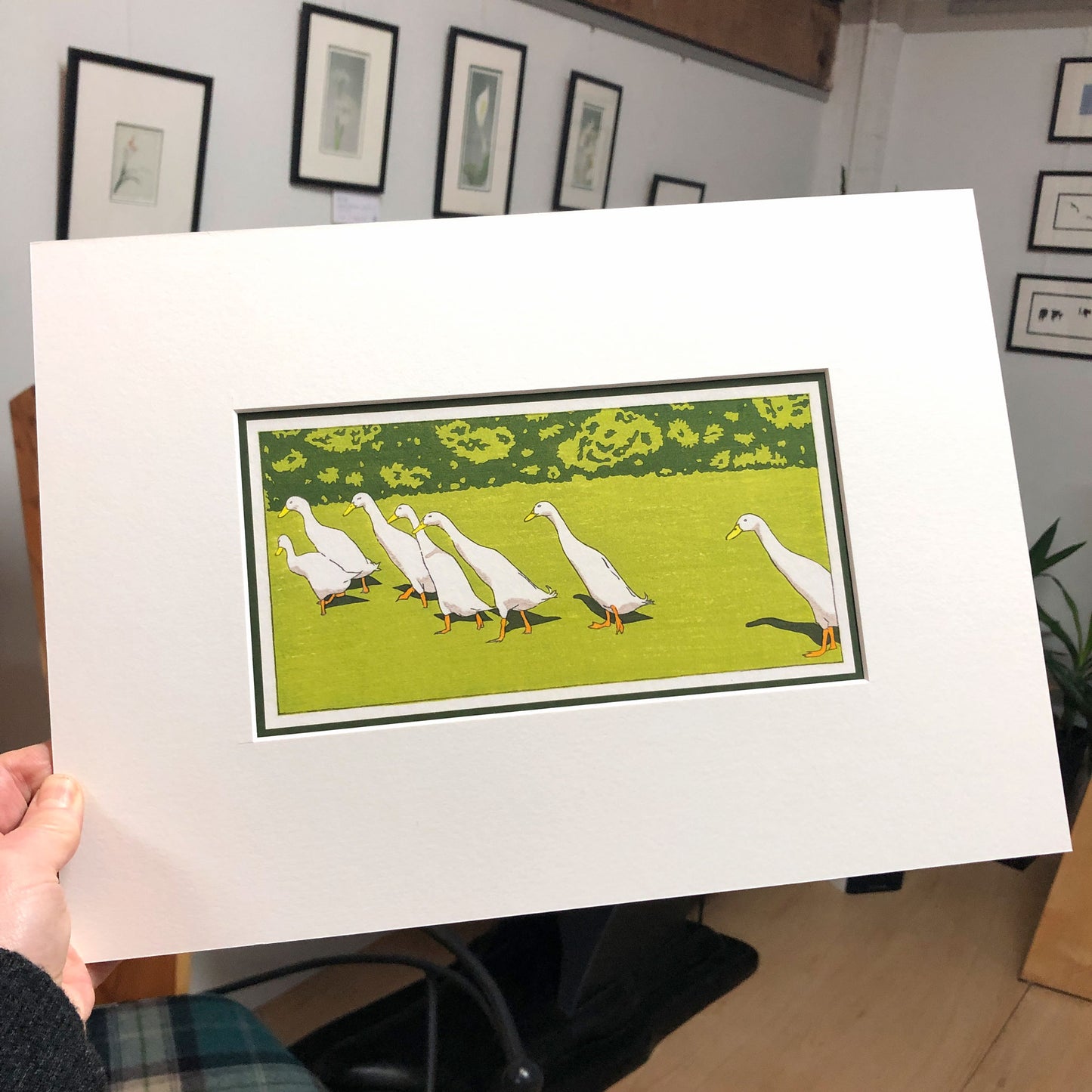 Ducks in a Row – "Indian Runner Ducks" Fine Art Mounted Print