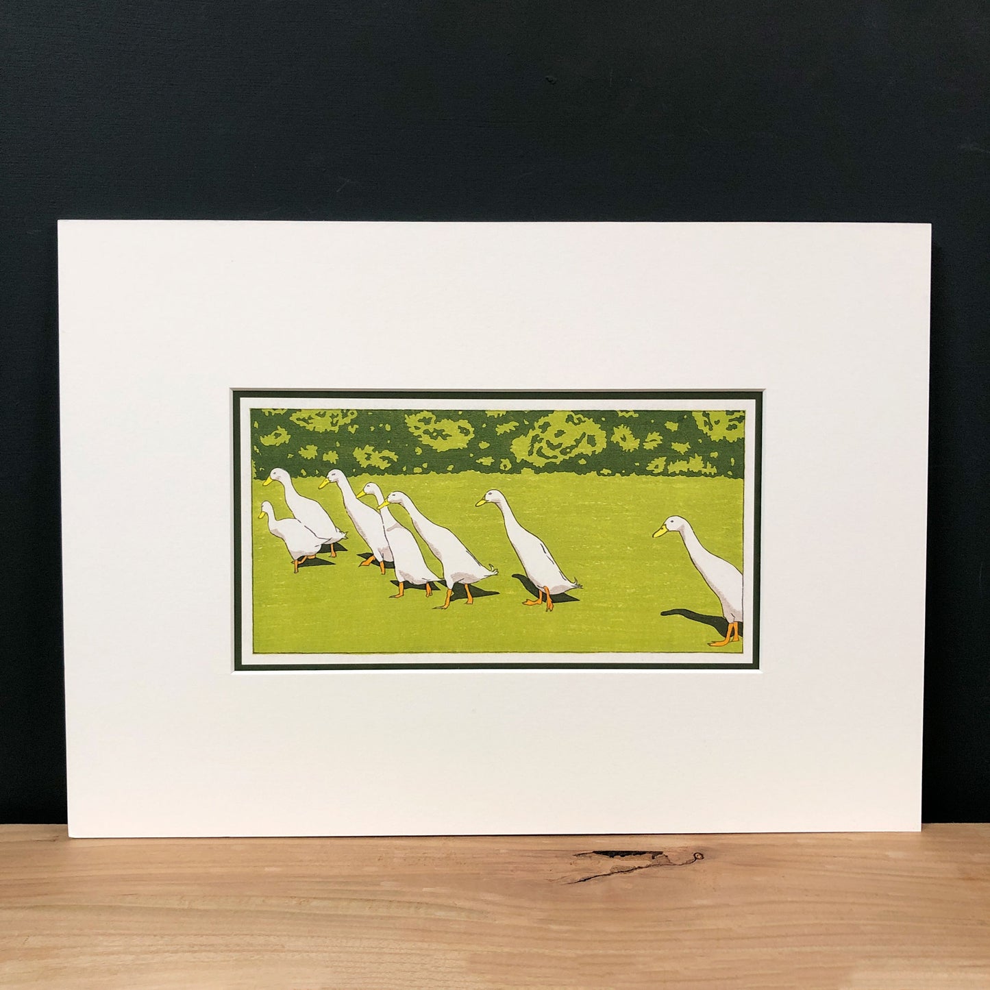 Ducks in a Row – "Indian Runner Ducks" Fine Art Mounted Print