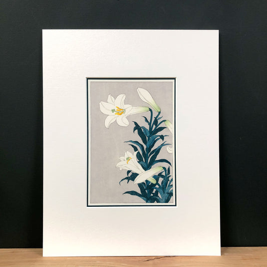 Easter Lily Elegance – "White Lily, after Koson" Fine Art Mounted Print